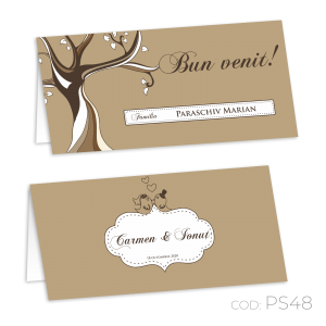 Plic de bani nuntă PS48